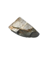 Moonstone Fire