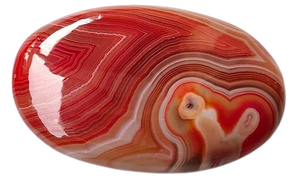 Onyx Rot