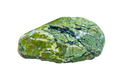 Serpentina